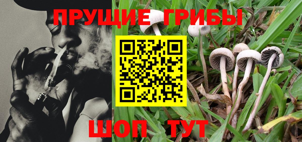 Галлюциногенные грибы Magic Shrooms Вологда