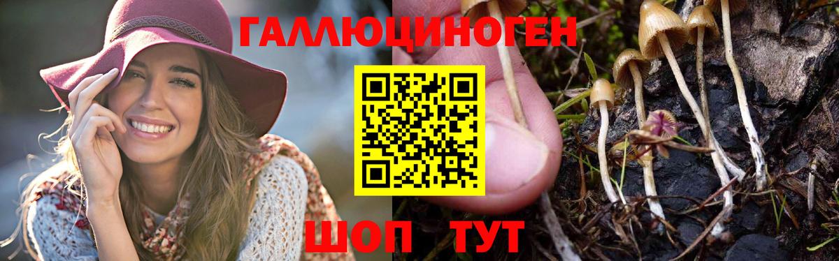 ЭКСТАЗИ Вологда