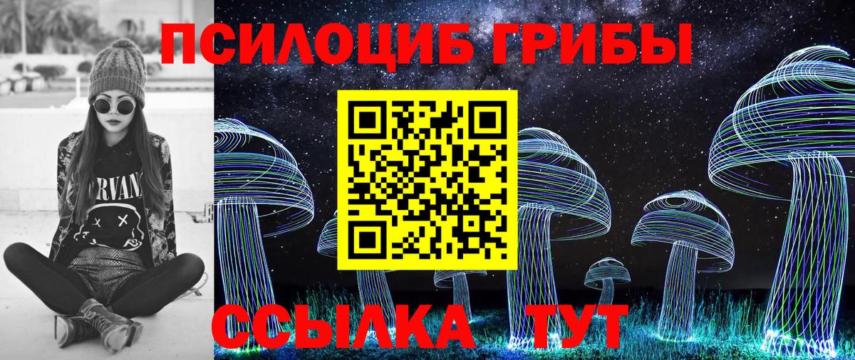 Псилоцибиновые грибы GOLDEN TEACHER  Псилоцибиновые грибы Psilocybine cubensis  хочу   Вологда  Вход с VPN 
